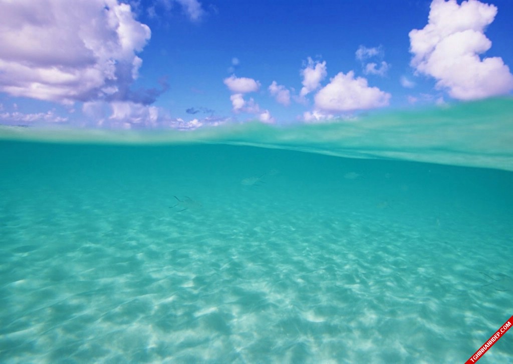 Những hình ảnh đẹp nhất về biển xanh khi hè đến