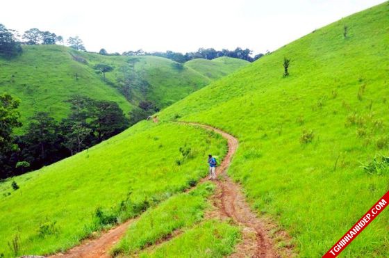 ta-nang-phan-dung-va-nhung-canh-dep-tuyet-voi-tren-duong-phuot (4)