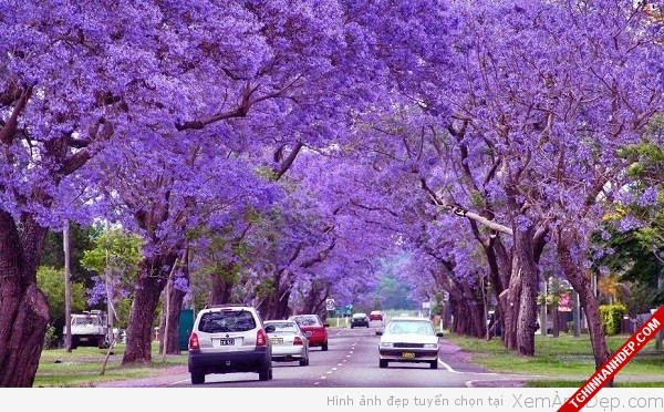 Thích mắt với hình ảnh những con đường đẹp nhất thế giới