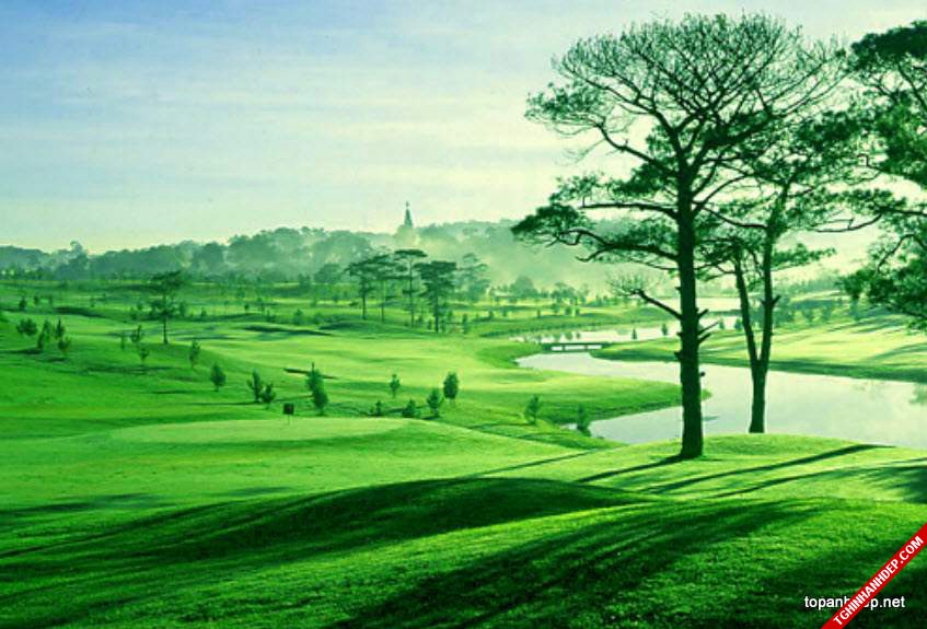 Thưởng thức cảnh đẹp khi du lịch Đà Lạt mộng mơ