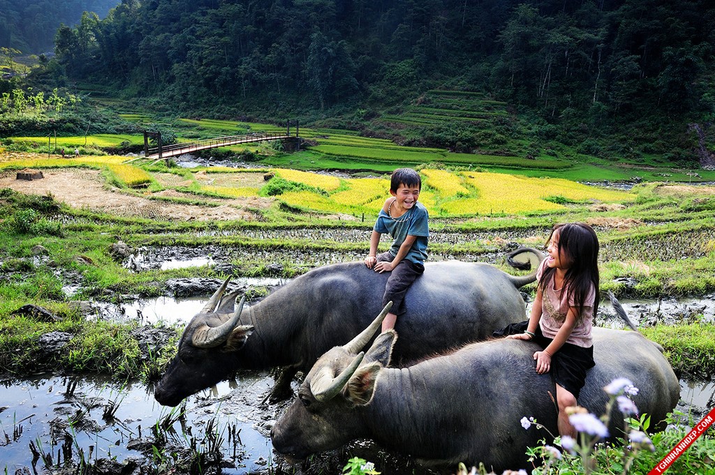 tro-ve-tuoi-tho-voi-nhung-hinh-anh-dep-nhat-ve-lang-que (10)