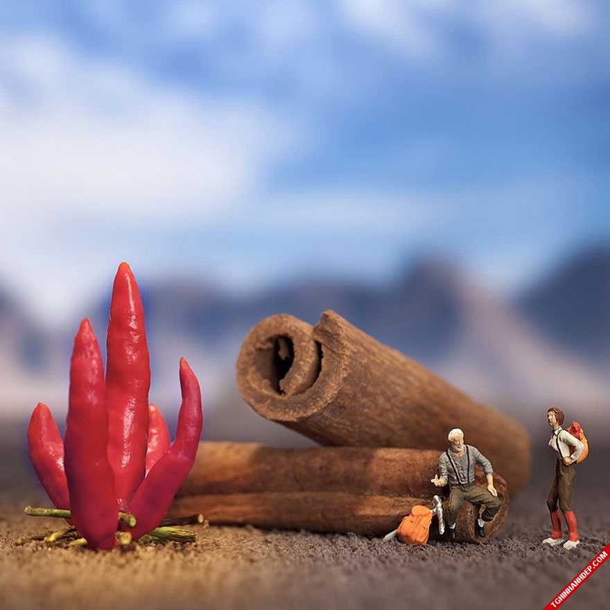 Những hình ảnh đẹp siêu thực về thế giới trái cây