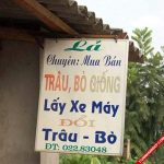 Những hình ảnh quảng cáo hài hước chỉ có ở Việt Nam
