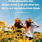 Hình ảnh đẹp: những câu nói hay nhất về tình bạn