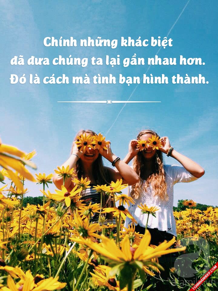 Hình ảnh đẹp: những câu nói hay nhất về tình bạn