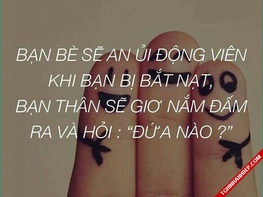 Hình ảnh đẹp: những câu nói hay nhất về tình bạn