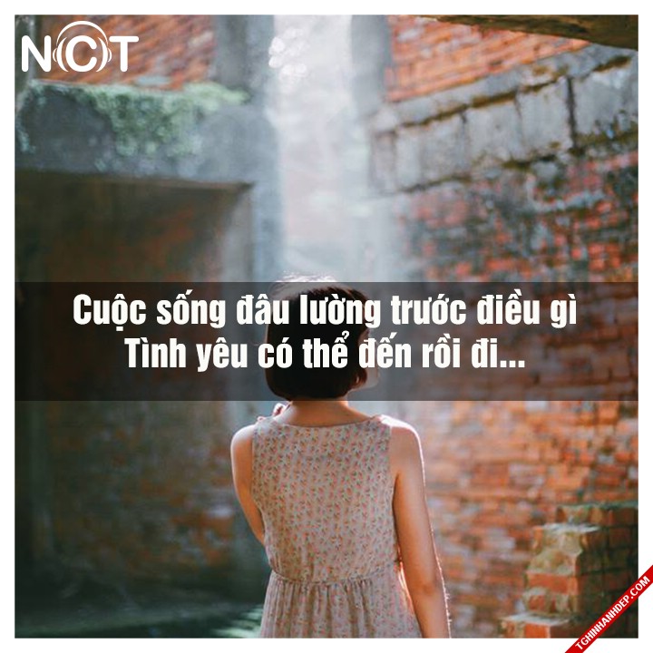 Lời bái hát hay và ý nghĩa dành cho tình yêu