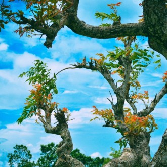 Bộ sưu tập hình nền về vẻ đẹp huyền bí của thiên nhiên thế giới