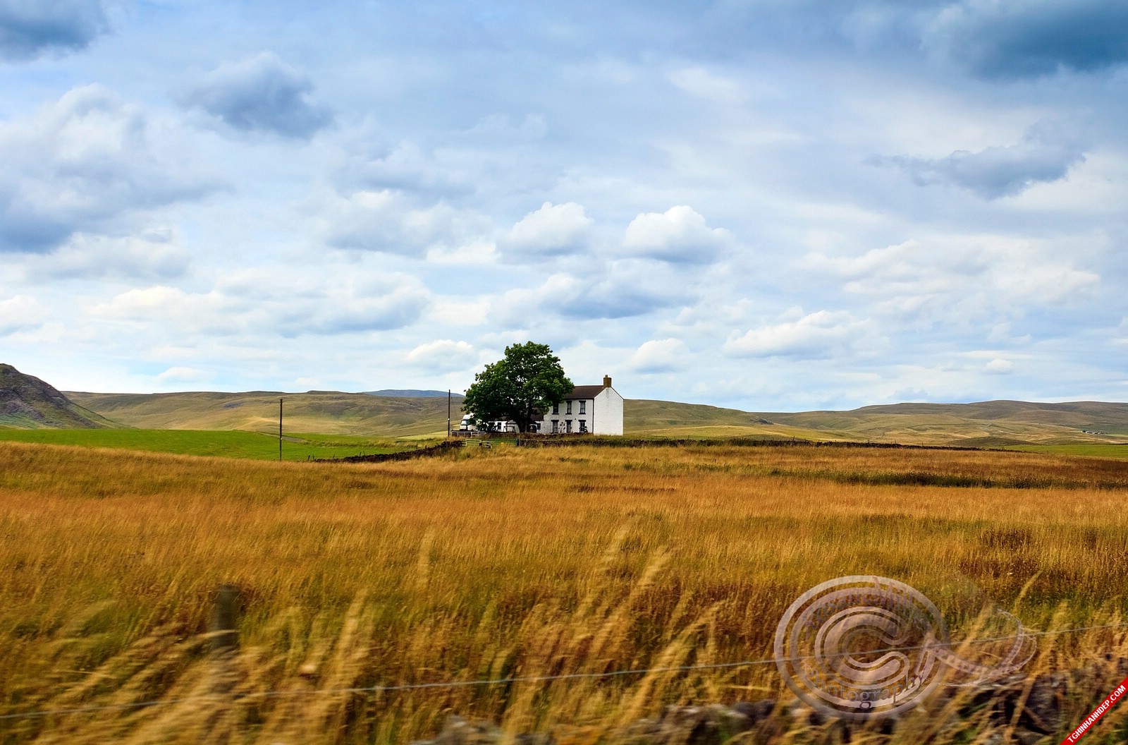 Hình nền máy tính phong cảnh bầu trời và động vật