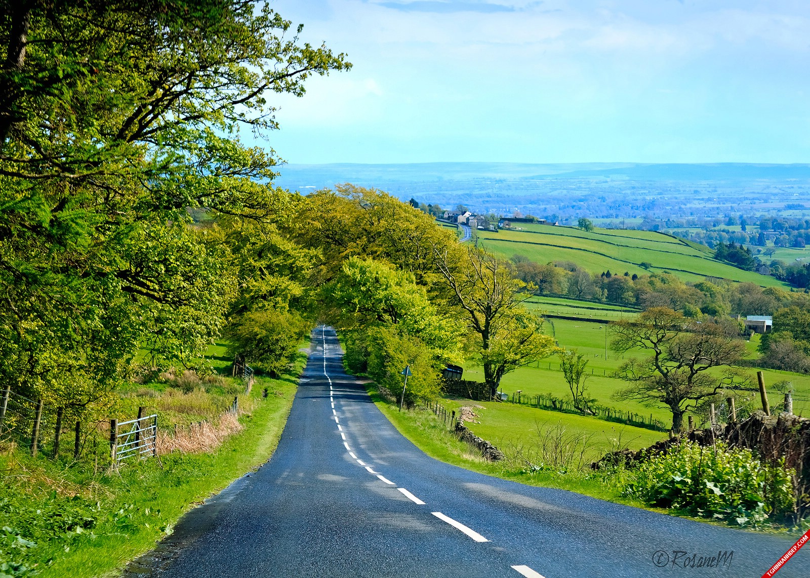 Nét đẹp thiên nhiên qua những con đường và cánh đồng hoa