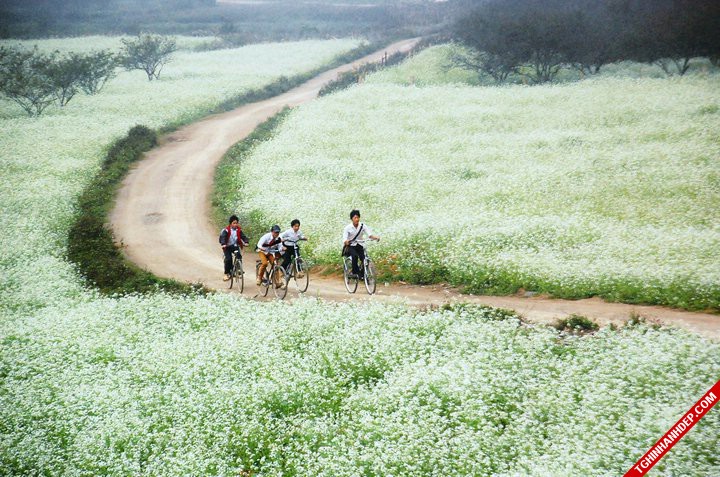 Những địa điểm đẹp đầy lãng mạn để đi du lịch hay chụp ảnh cưới ở Mộc Châu