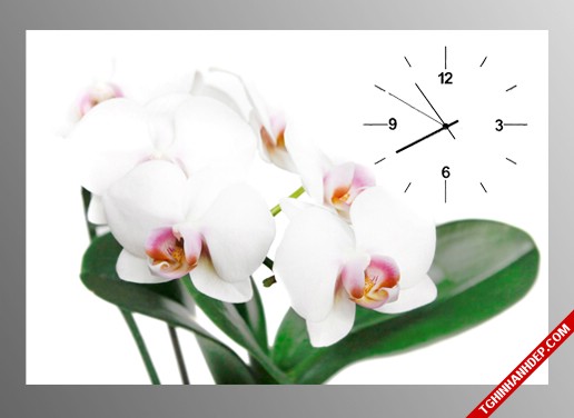 Mẫu tranh đông hồ hình hoa lan