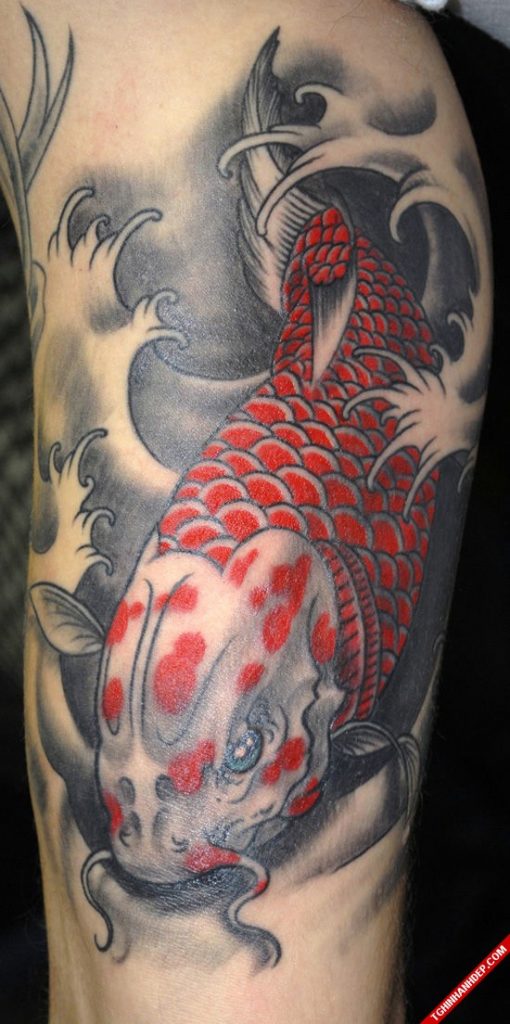 hình xăm cá chép vượt vũ môn