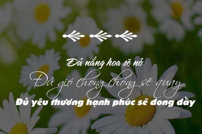 1001+-nhung-stt-hay-cuc-chat-dang-facebook (1)