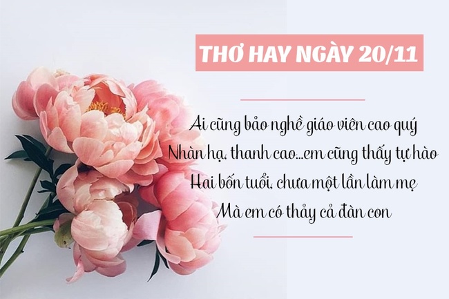 Lời chúc thầy cô bằng những câu thơ trong ngày 20/11